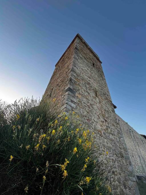 Medieval Tower In Umbria With Swimming Pool Montelagello Eksteriør bilde